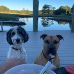 Steve Haag - @steve_haag - Instagram