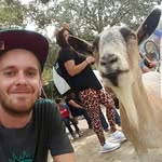 SHadden11 - @stevenhadden11 - Instagram