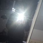 steven haffner - @stivielyon - Instagram