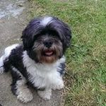 Steven Hague - @steven.hague62 - Instagram