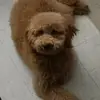 stevenhaire2 - @stevenhaire2 - TikTok