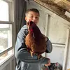 jackson steven hakes - @jackson_hakes - TikTok