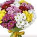 Steven Halbert - Facebook
