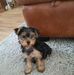 Steve Halpin - Facebook