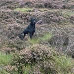 Steven Halstead - @steven.halstead.98 - Instagram