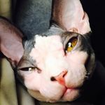 Steven Halterman - @stevenhalterman - Instagram