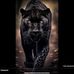 Steve Halvorson - Facebook