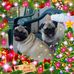 Steven Sr Halvorson - Facebook
