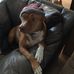 Steven Hambrick - Facebook