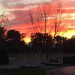 Steve Hamburger - @steve.hamburger.39 - Instagram