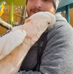Steven Hand - Facebook