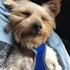 Steve hanlon - @steve.hanlon5 - TikTok