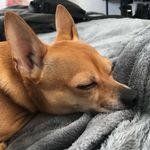 Steven Harmon - @stevenharmonn - Instagram