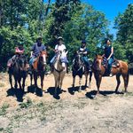 Steve Nat Harness - @stevenatharness - Instagram