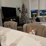 Stephen Harney - @sdharney_ - Instagram