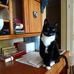 Steven Havens - Facebook