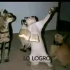 Steven hawks - @steve..009 - TikTok