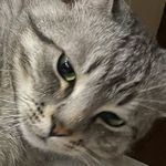 Steven Hawks - @stevehwks - Instagram