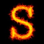 steven hayek - @stevz112 - Instagram