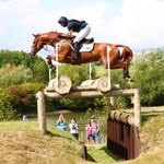 Steve Heal - @steveheal - Instagram