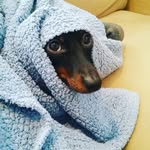Steven Heal - @heal_steven - Instagram