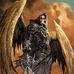 Stephen Hedgecock - Facebook
