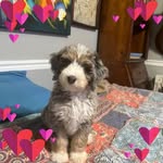 Steve Hefner - @stevehefner57 - Instagram