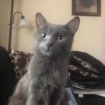 Steve Helman - @helmannwa - Instagram