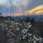 Steven Hendershot - @s.hendershot2 - Instagram