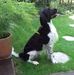 Stefan Henne - Facebook