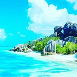 steven heppy - @stevenheppy - Instagram