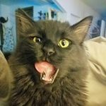 Steven T. Herndon - @stevent.herndon - Instagram