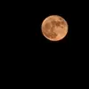 steven_herr - @riezgostan - TikTok