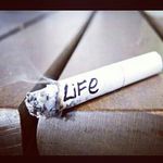 Steven Highfill - @steven_highfill - Instagram