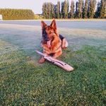 Steven Hillier - @steven.hillier.1238 - Instagram