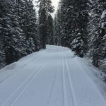 steve - @steven_hills - Instagram