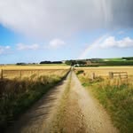 Stephen Hinde - @the_aberdeenshire_smallholder - Instagram