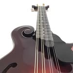 Steven Hinde - @hindecustominstruments - Instagram