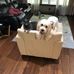 Steve Hoekstra - Facebook