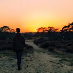 Steven - @steven_hoekstra_ - Instagram