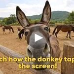 Steven Hofer - @steven.hofer.54 - Instagram