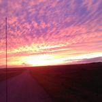 steven hofer - @hofer1135 - Instagram