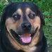 Steve Holbert - Facebook