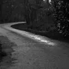 StevenHolmquist734 - @stevenholmquist734 - TikTok