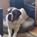 Steve Holten - Facebook