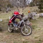Steve Homan - @steve_homan_motorbike_rider - Instagram