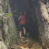 Steven Homan - @steven.homan0 - TikTok