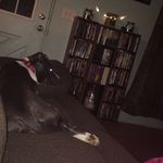 Steven Homan - @homan_steven - Instagram