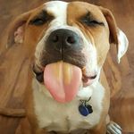 Steve Hornback - @hornbacksteve - Instagram