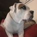Steven Hoss - Facebook